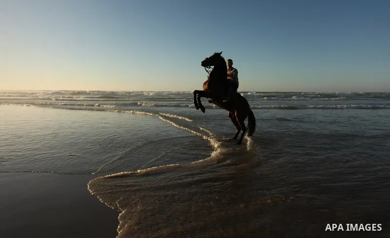 A Palestinian man rides his horse as he enjoy the last sunset of 2016 at the beach of Gaza city, on the December 31, 2016. Photo by Ashraf Amra
