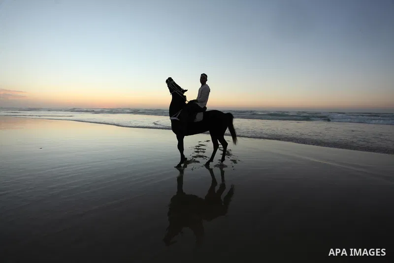 A Palestinian man rides his horse as he enjoy the last sunset of 2016 at the beach of Gaza city, on the December 31, 2016. Photo by Ashraf Amra