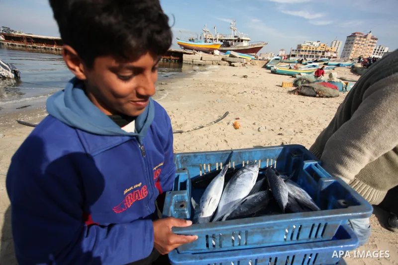 A Palestinian fisherman displays fish for sale, in Gaza seaport, on January 5, 2017. Photo by Ashraf Amra