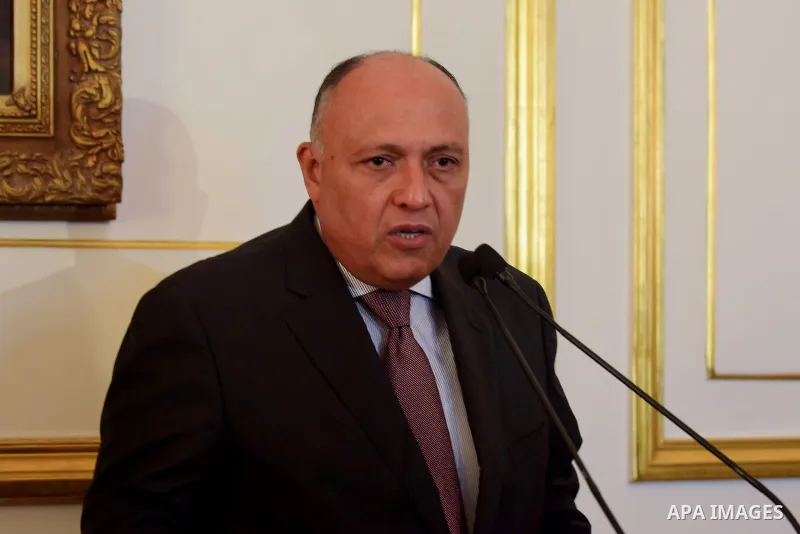 Egypt's Foreign Minister Sameh Shukri speaks during a news conference after meeting with representatives from Libya's neighbour states and United Nations' envoy for Libya, Martin Kobler, in Cairo, Egypt January 21, 2017....