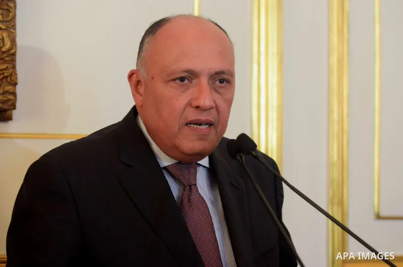 Egypt's Foreign Minister Sameh Shukri speaks during a news conference after meeting with representatives from Libya's neighbour states and United Nations' envoy for Libya, Martin Kobler, in Cairo, Egypt January 21, 2017....