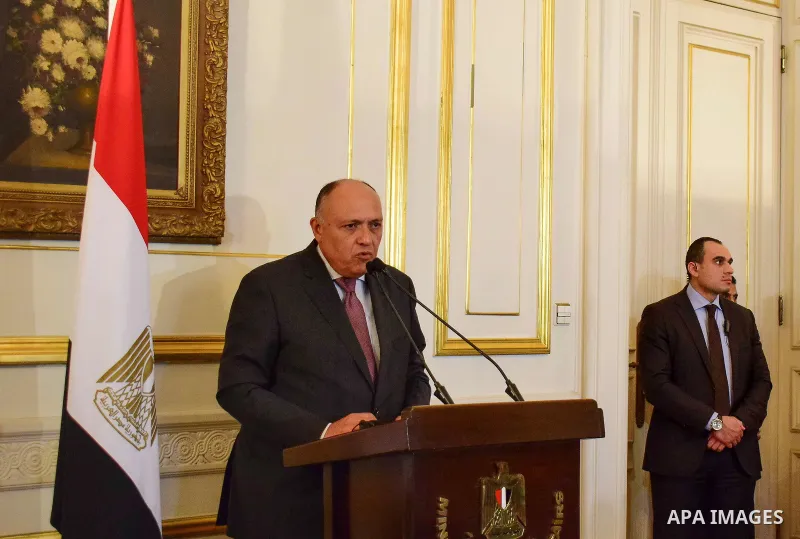 Egypt's Foreign Minister Sameh Shukri speaks during a news conference after meeting with representatives from Libya's neighbour states and United Nations' envoy for Libya, Martin Kobler, in Cairo, Egypt January 21, 2017....