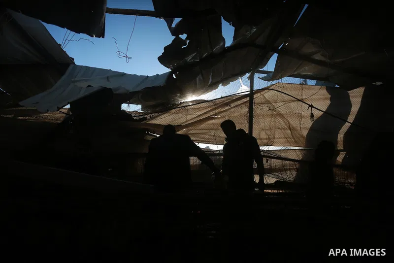 Palestinians inspect the damage to a chicken farm in Gaza City's eastern suburb of Shujaiya on February 7, 2017, following a series of strikes carried out the day before by Israeli forces against the Hamas movement in th...