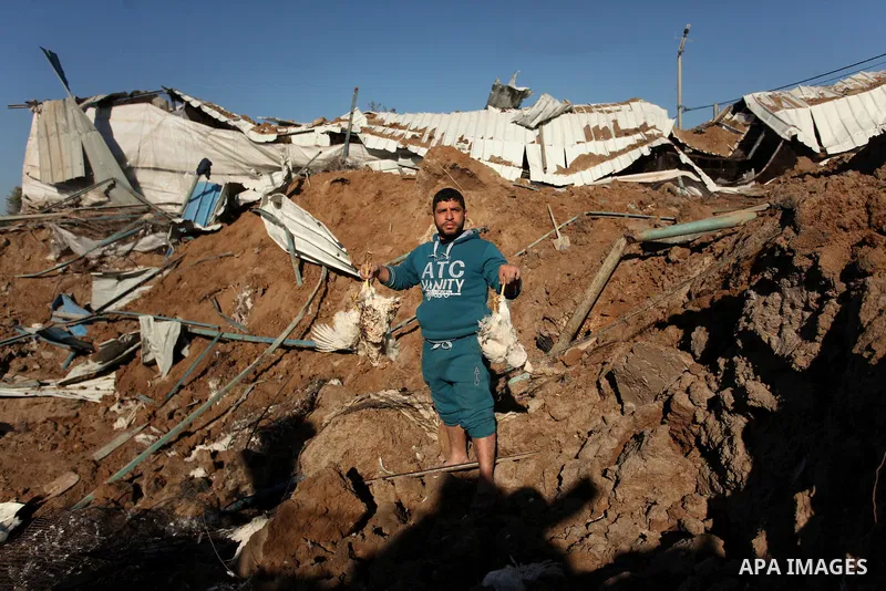 Palestinians inspect the damage to a chicken farm in Gaza City's eastern suburb of Shujaiya on February 7, 2017, following a series of strikes carried out the day before by Israeli forces against the Hamas movement in th...