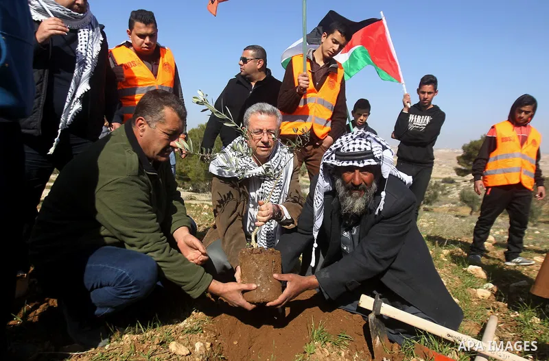 Palestinians plant trees during a demonstration against the construction of Jewish settlements in the occupied West Bank city of Hebron, on February 10, 2017. Photo by Wisam Hashlamoun