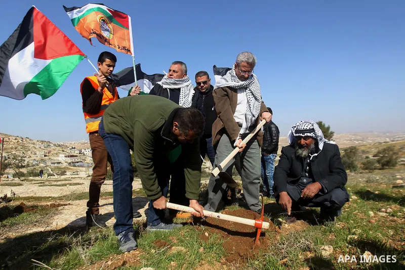 Palestinians plant trees during a demonstration against the construction of Jewish settlements in the occupied West Bank city of Hebron, on February 10, 2017. Photo by Wisam Hashlamoun