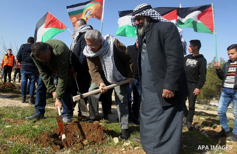 Palestinians plant trees during a demonstration against the construction of Jewish settlements in the occupied West Bank city of Hebron, on February 10, 2017. Photo by Wisam Hashlamoun