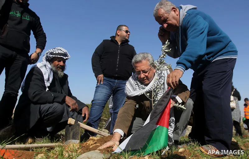 Palestinians plant trees during a demonstration against the construction of Jewish settlements in the occupied West Bank city of Hebron, on February 10, 2017. Photo by Wisam Hashlamoun