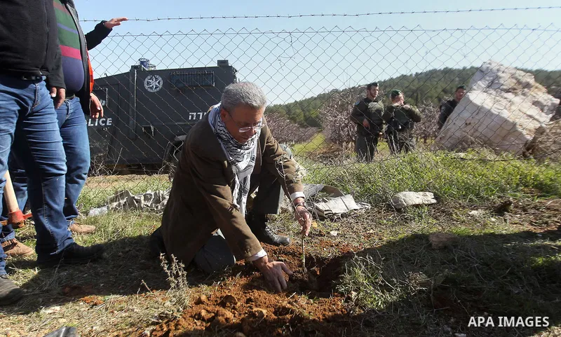 Palestinians plant trees during a demonstration against the construction of Jewish settlements in the occupied West Bank city of Hebron, on February 10, 2017. Photo by Wisam Hashlamoun