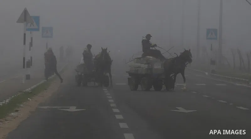 Palestinians ride a horse-drawn cart on a foggy morning in Gaza city, on February 26, 2017. Photo by Yasser Qudih