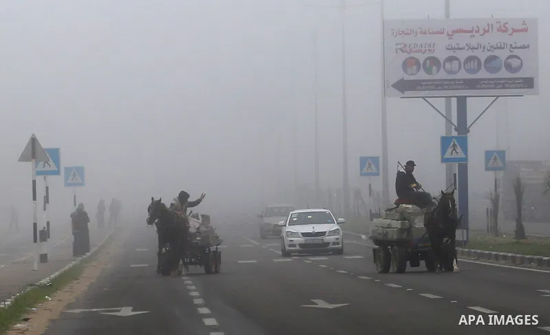 Palestinians ride a horse-drawn cart on a foggy morning in Gaza city, on February 26, 2017. Photo by Yasser Qudih