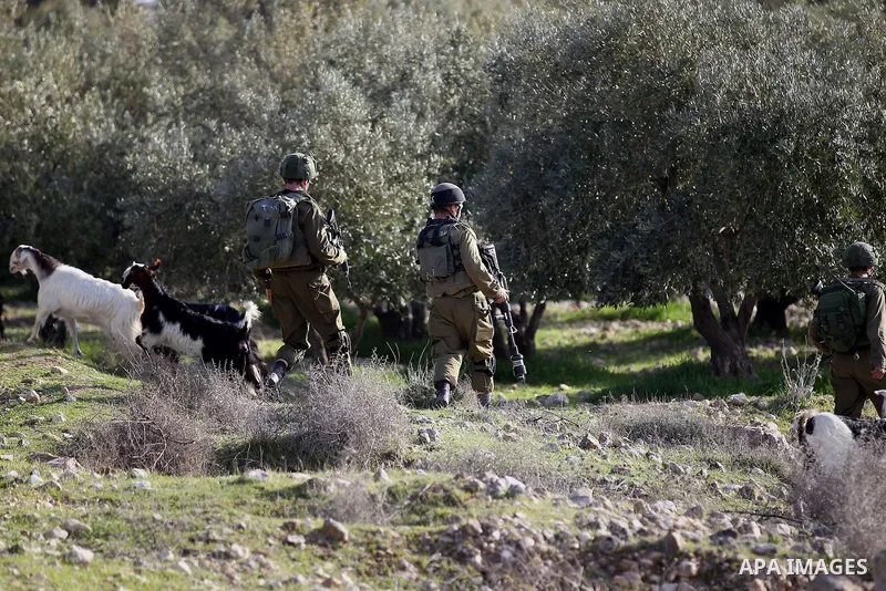 Israeli soldiers aim their weapons towards Palestinian protesters during clashes in the West Bank village of Tuqu near Bethlehem February 26, 2017. Photo by Wisam Hashlamoun