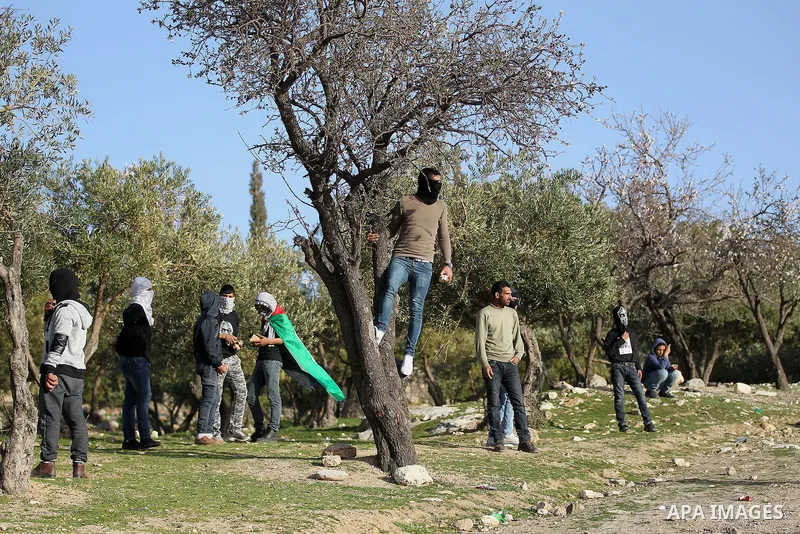 Palestinian protesters hurl stones towards Israeli troops during clashes in the West Bank village of Tuqu near Bethlehem February 26, 2017. Photo by Wisam Hashlamoun