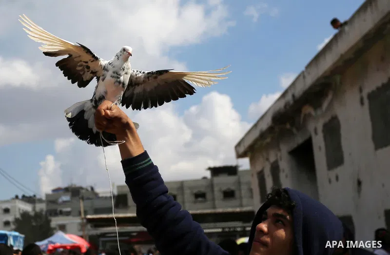 A Palestinian vendor displays his birds at a market in Gaza city, on March 04, 2017. Photo by Ashraf Amra