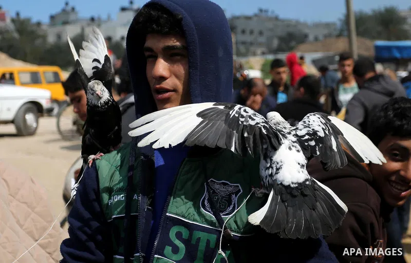A Palestinian vendor displays his birds at a market in Gaza city, on March 04, 2017. Photo by Ashraf Amra