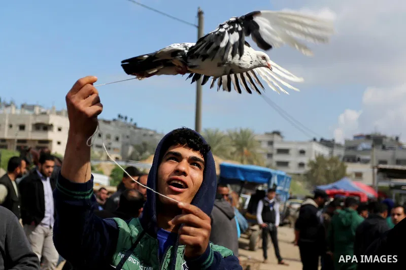 A Palestinian vendor displays his birds at a market in Gaza city, on March 04, 2017. Photo by Ashraf Amra