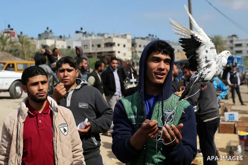 A Palestinian vendor displays his birds at a market in Gaza city, on March 04, 2017. Photo by Ashraf Amra