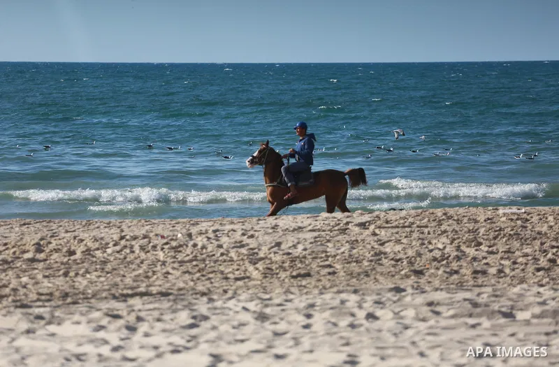 A Palestinian man rides his horse as he enjoy in the Mediterranean Sea off the coast of Gaza City on March 6, 2017. Photo by Mohammed Asad