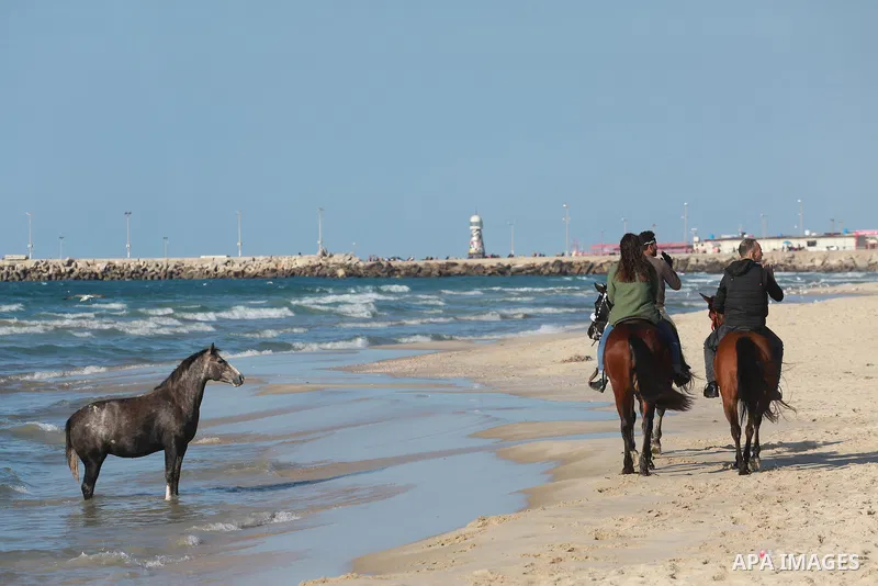 Palestinian men rides their horse as they enjoy in the Mediterranean Sea off the coast of Gaza City on March 6, 2017. Photo by Mohammed Asad