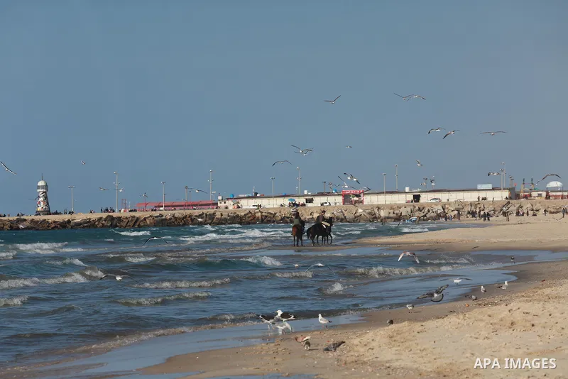Seagulls swim in the mediterranean sea off the coast of Gaza city on March 6, 2017. Photo by Mohammed Asad