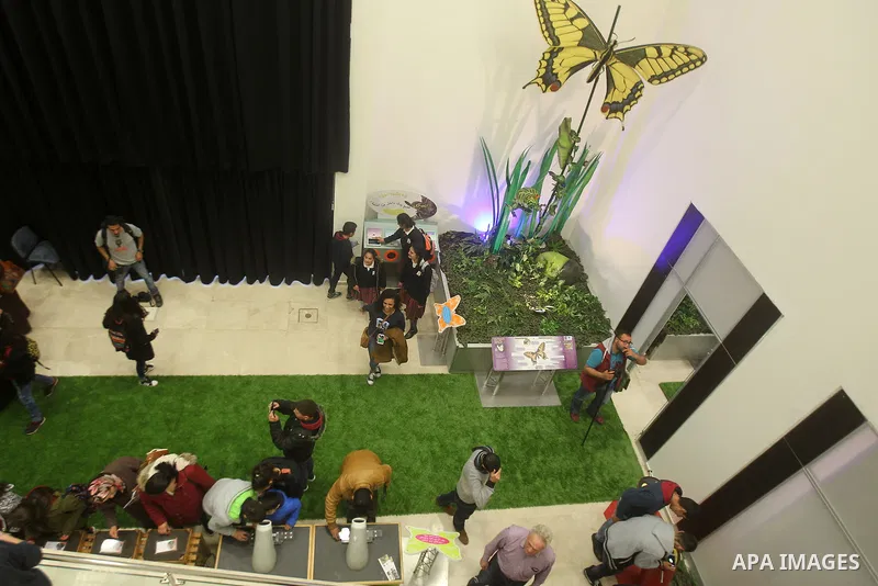 Visitors look at a model of the Polacanthus Dinosaurs during the opening ceremony of the Baby Dinosaurs and Giant Insect Exhibition, in the West Bank city of Bethlehem, Tuesday, March 14, 2017. The exhibition was donated...
