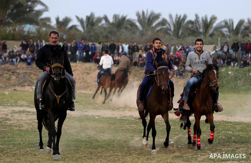 Palestinians ride horses during a heritage festival in Zawayda in the central Gaza Strip March 17, 2017. Photo by Ashraf Amra