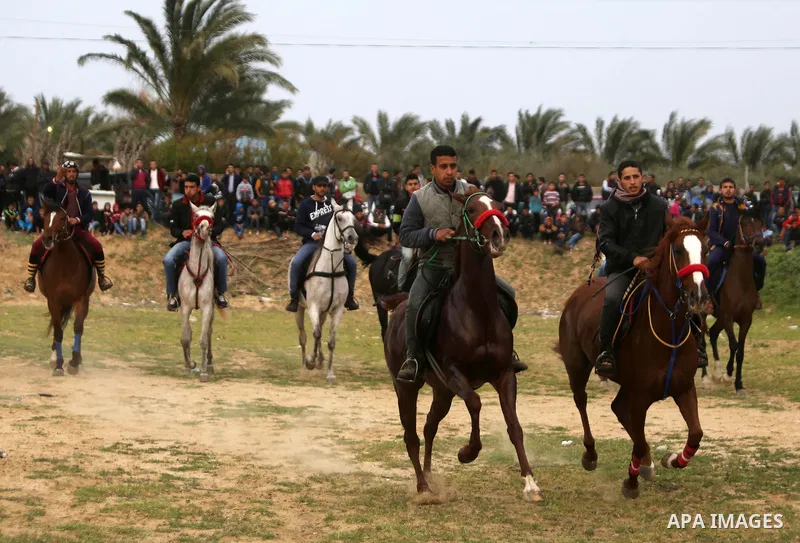 Palestinians ride horses during a heritage festival in Zawayda in the central Gaza Strip March 17, 2017. Photo by Ashraf Amra