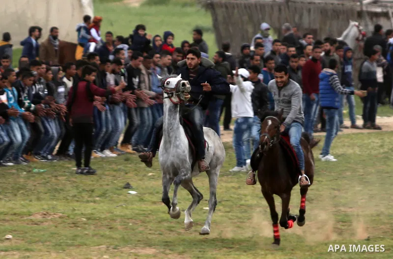 Palestinians ride horses during a heritage festival in Zawayda in the central Gaza Strip March 17, 2017. Photo by Ashraf Amra