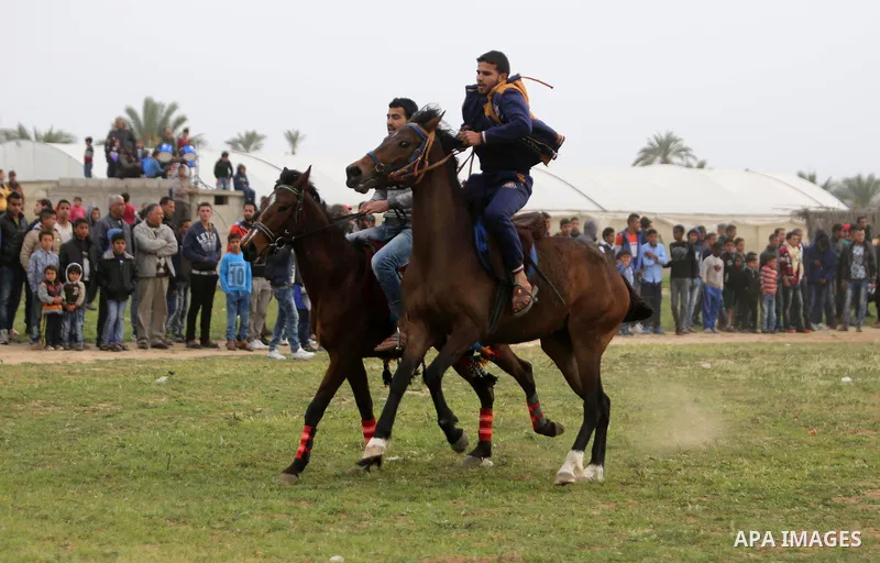 Palestinians ride horses during a heritage festival in Zawayda in the central Gaza Strip March 17, 2017. Photo by Ashraf Amra