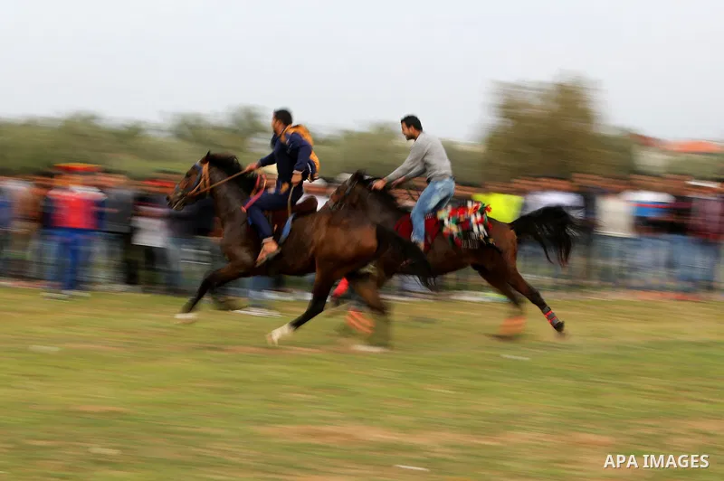 Palestinians ride horses during a heritage festival in Zawayda in the central Gaza Strip March 17, 2017. Photo by Ashraf Amra