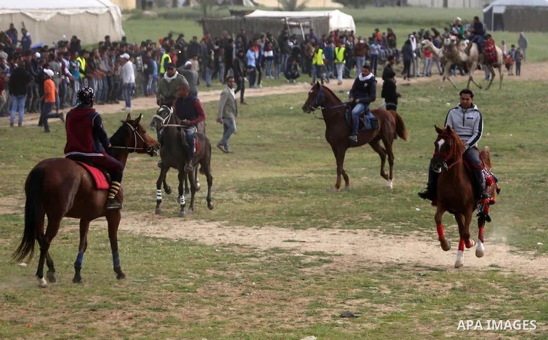 Palestinians ride horses during a heritage festival in Zawayda in the central Gaza Strip March 17, 2017. Photo by Ashraf Amra