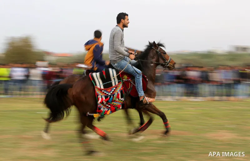 Palestinians ride horses during a heritage festival in Zawayda in the central Gaza Strip March 17, 2017. Photo by Ashraf Amra