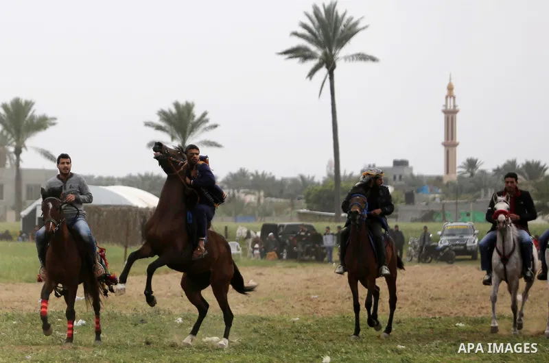 Palestinians ride horses during a heritage festival in Zawayda in the central Gaza Strip March 17, 2017. Photo by Ashraf Amra