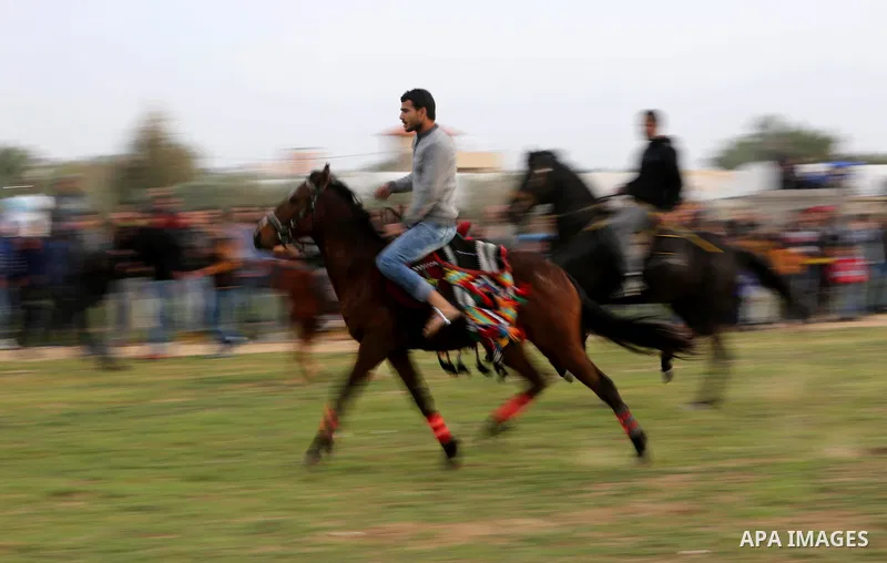 Palestinians ride horses during a heritage festival in Zawayda in the central Gaza Strip March 17, 2017. Photo by Ashraf Amra
