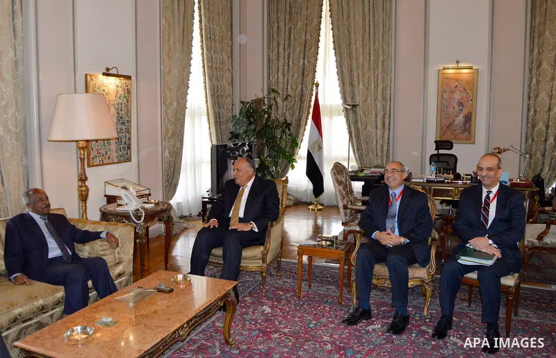 Egyptian Foreign Minister Sameh Shoukry meets with Eritrea's Foreign Minister Osman Mohammed Saleh, in Cairo, Egypt, on March 19, 2017. Photo by Stranger