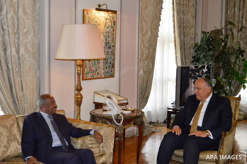 Egyptian Foreign Minister Sameh Shoukry meets with Eritrea's Foreign Minister Osman Mohammed Saleh, in Cairo, Egypt, on March 19, 2017. Photo by Stranger