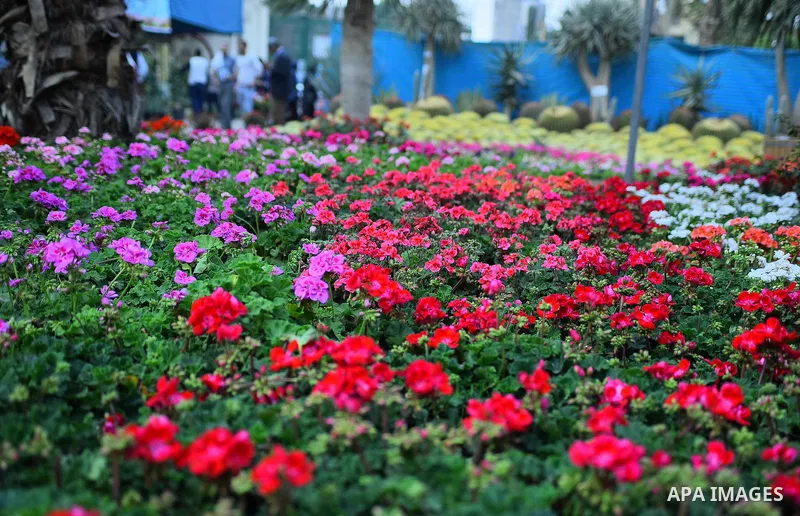 Egyptians attend the Spring flowers exhibition at the Orman Garden, in Cairo, Egypt, on March 24, 2017. Photo by Amr Sayed