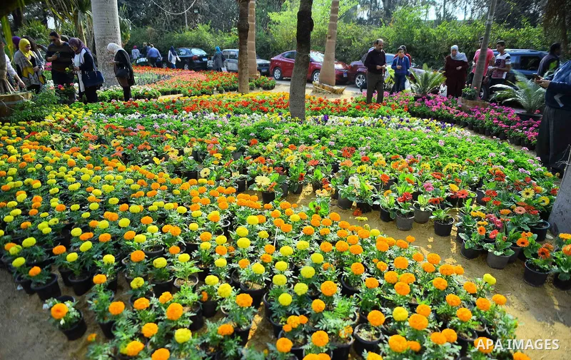 Egyptians attend the Spring flowers exhibition at the Orman Garden, in Cairo, Egypt, on March 24, 2017. Photo by Amr Sayed