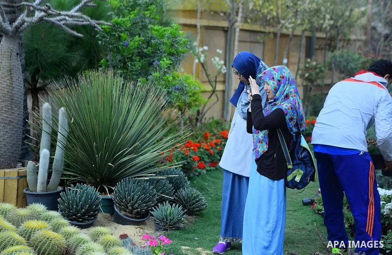 A picture taken on March 24, 2017 shows flowers ar seen at Spring flowers exhibition at the Orman Garden, in Cairo, Egypt. Photo by Amr Sayed