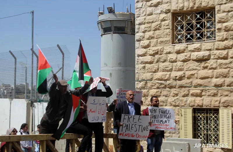 Palestinian demonstrators hold national flags and placards during a protest against Jewish settlements in the West Bank city of Hebron March 26, 2017. Photo by Wisam Hashlamoun