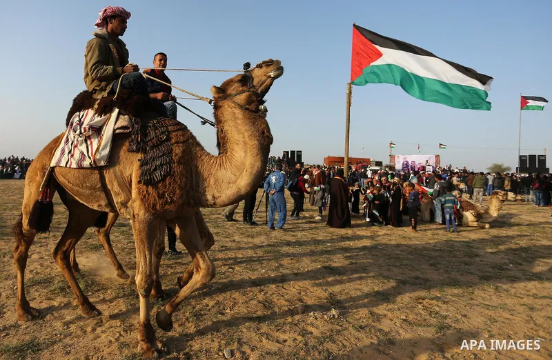 Palestinian Bedouins ride camels during a rally marking the 41st anniversary of Land Day, in Deir el-Balah, Central Gaza Strip, on March 31, 2017. Land Day marks the killing of six Arab Israelis during 1976 demonstration...