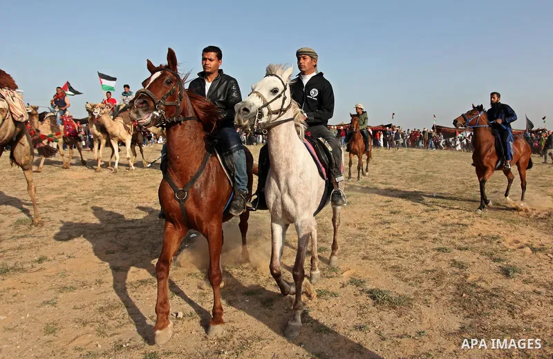 Palestinian Bedouins ride horses during a rally marking the 41st anniversary of Land Day, in Deir el-Balah, Central Gaza Strip, on March 31, 2017. Land Day marks the killing of six Arab Israelis during 1976 demonstration...