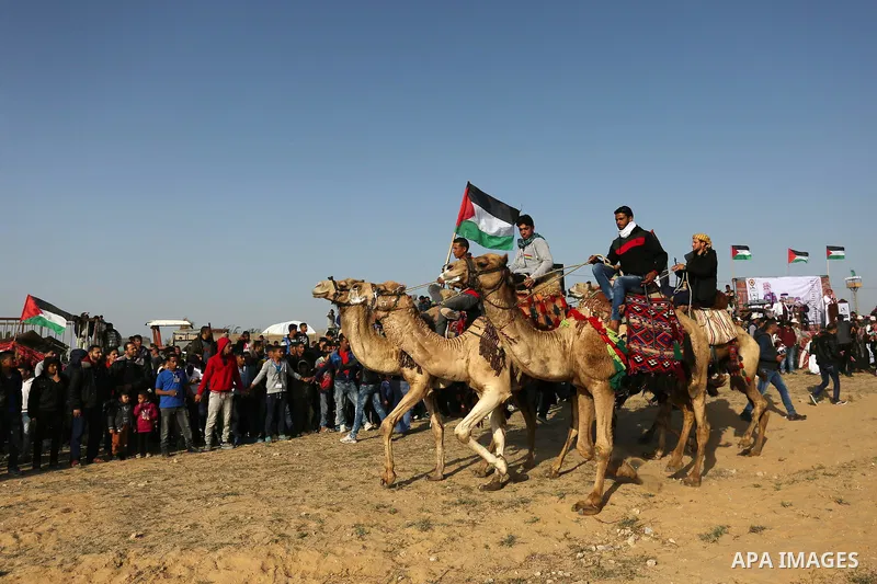 Palestinian Bedouins ride camels during a rally marking the 41st anniversary of Land Day, in Deir el-Balah, Central Gaza Strip, on March 31, 2017. Land Day marks the killing of six Arab Israelis during 1976 demonstration...
