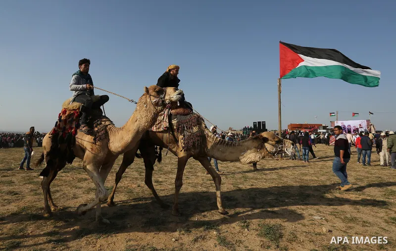 Palestinian Bedouins ride camels during a rally marking the 41st anniversary of Land Day, in Deir el-Balah, Central Gaza Strip, on March 31, 2017. Land Day marks the killing of six Arab Israelis during 1976 demonstration...