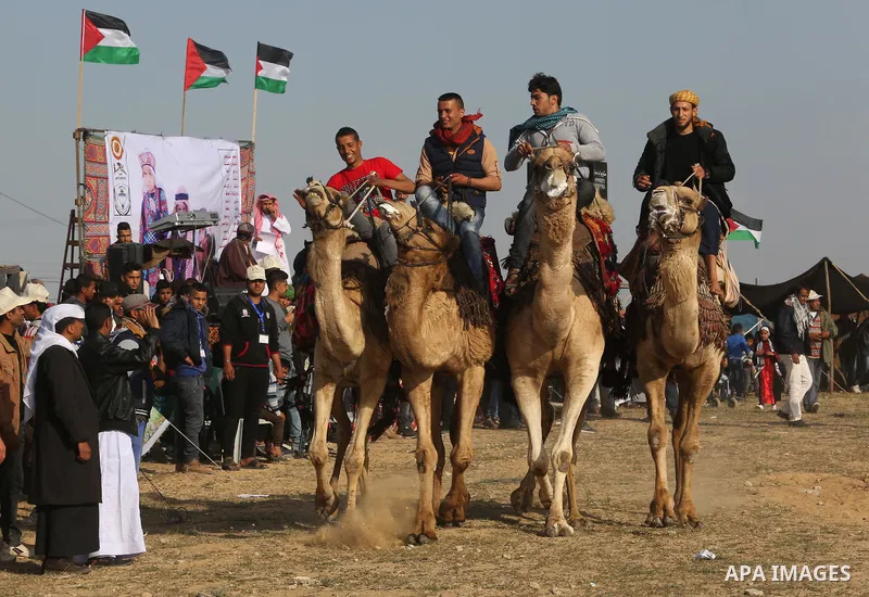 Palestinian Bedouins ride camels during a rally marking the 41st anniversary of Land Day, in Deir el-Balah, Central Gaza Strip, on March 31, 2017. Land Day marks the killing of six Arab Israelis during 1976 demonstration...