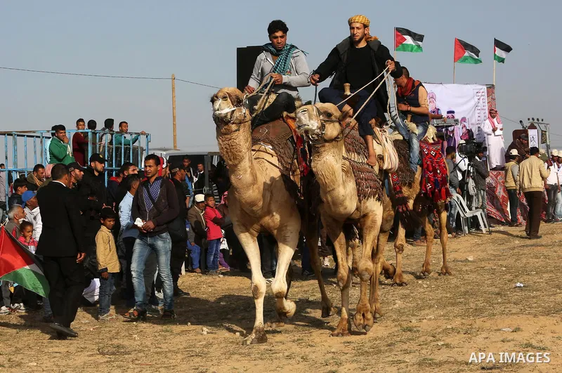 Palestinian Bedouins ride camels during a rally marking the 41st anniversary of Land Day, in Deir el-Balah, Central Gaza Strip, on March 31, 2017. Land Day marks the killing of six Arab Israelis during 1976 demonstration...