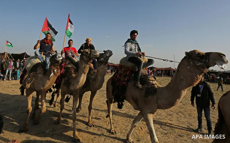 Palestinian Bedouins ride camels during a rally marking the 41st anniversary of Land Day, in Deir el-Balah, Central Gaza Strip, on March 31, 2017. Land Day marks the killing of six Arab Israelis during 1976 demonstration...