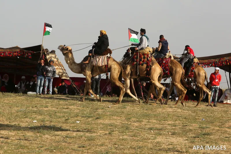 Palestinian Bedouins ride camels during a rally marking the 41st anniversary of Land Day, in Deir el-Balah, Central Gaza Strip, on March 31, 2017. Land Day marks the killing of six Arab Israelis during 1976 demonstration...
