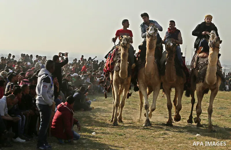 Palestinian Bedouins ride camels during a rally marking the 41st anniversary of Land Day, in Deir el-Balah, Central Gaza Strip, on March 31, 2017. Land Day marks the killing of six Arab Israelis during 1976 demonstration...