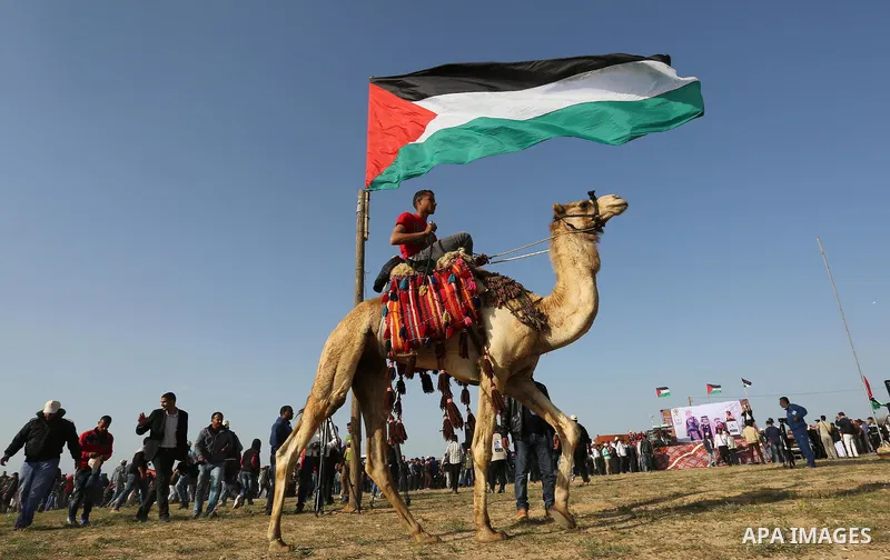 Palestinian Bedouins ride camels during a rally marking the 41st anniversary of Land Day, in Deir el-Balah, Central Gaza Strip, on March 31, 2017. Land Day marks the killing of six Arab Israelis during 1976 demonstration...